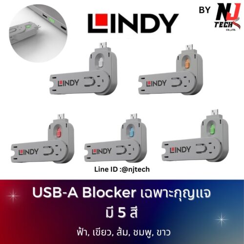 LINDY USB-A Port Blocker Key